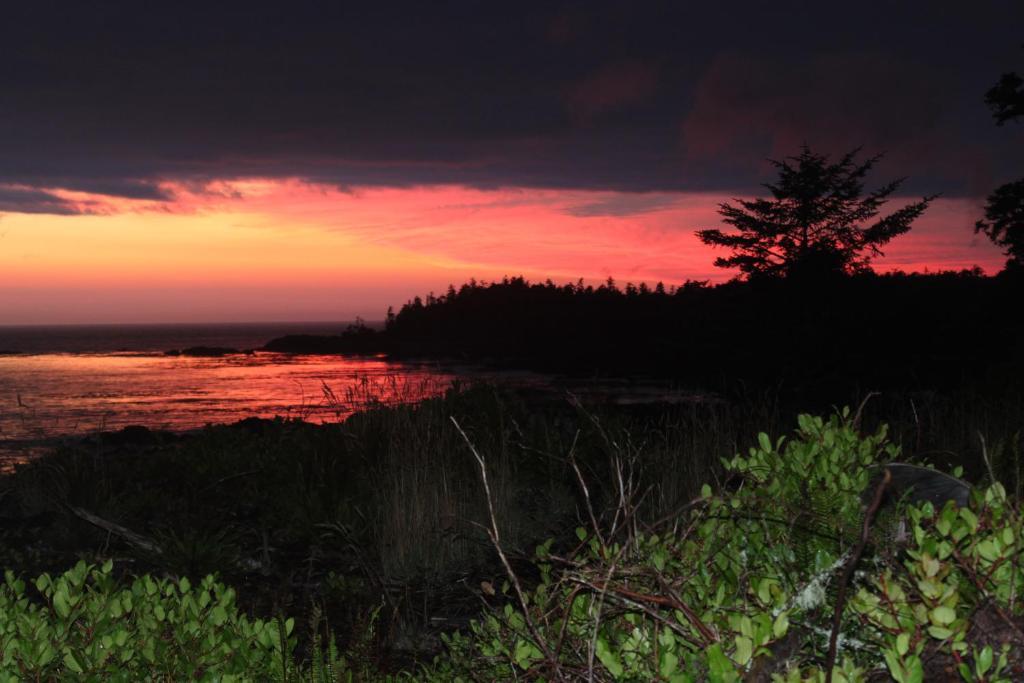 Cygnet Cove Suites Ucluelet Exteriér fotografie