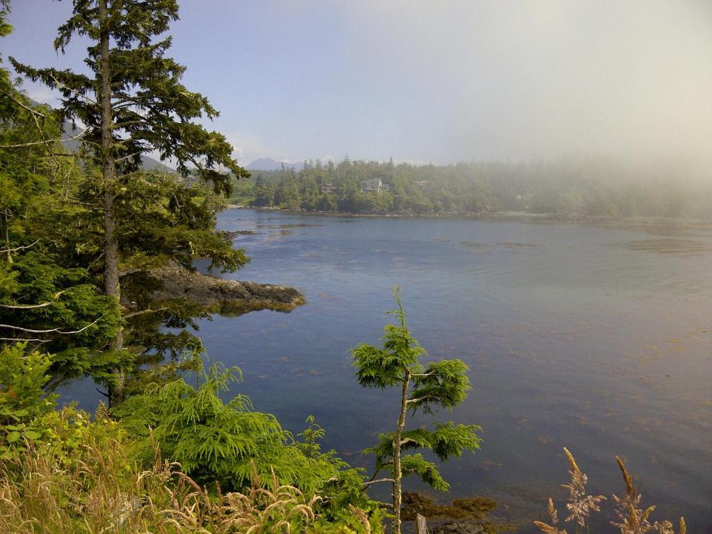 Cygnet Cove Suites Ucluelet Exteriér fotografie