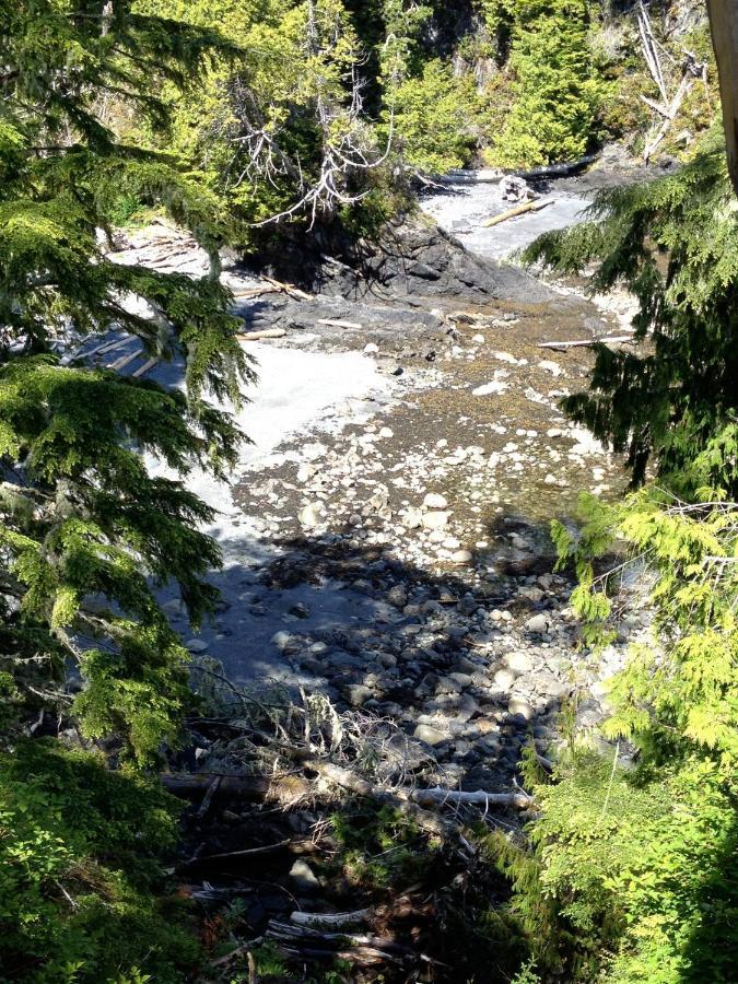 Cygnet Cove Suites Ucluelet Pokoj fotografie