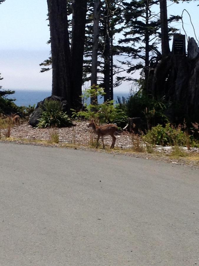 Cygnet Cove Suites Ucluelet Pokoj fotografie